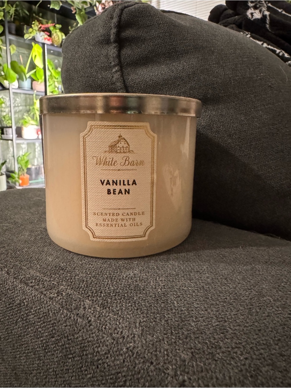 White Barn Vanilla Bean 3-Wick Candle in Cream